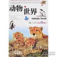 动物世界