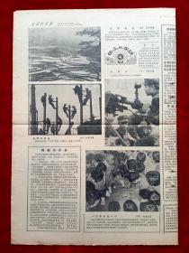 《中国摄影报》1986年第11期，全军摄影工作座谈会