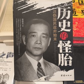 正版历史的怪胎——汪伪国民政府始末