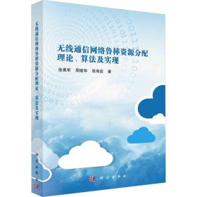 无线通信网络鲁棒资源分配理论、算法及实现