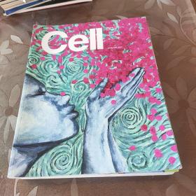 CELL 细胞杂志 VOL.174NUMBER 3/5/6/7（4册合售） 外文原版期刊