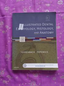 IllustratedDentalEmbryology,Histology,andAnantomy图解牙科胚胎学，组织学和解剖学,第4版