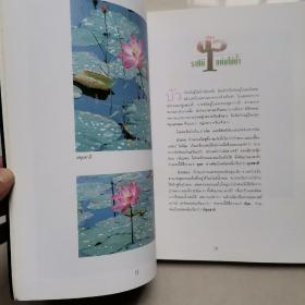 一本好像是西班牙语画册，有关莲花的内容的