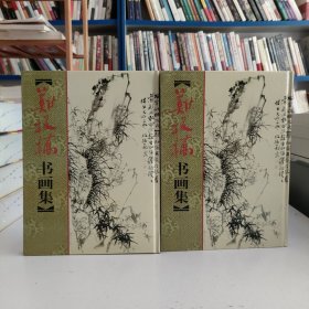 郑板桥书画集（上下册）