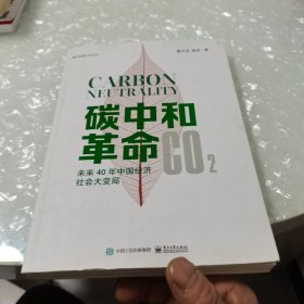 碳中和革命：未来40年中国经济社会大变局，内页干净