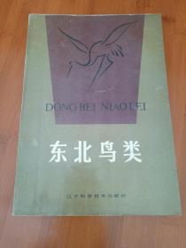 东北鸟类