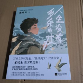 人生没有多余的疼（百花文学奖得主朱成玉的散文集，温柔坚韧，直戳心底！书中多篇文章入选语文教材、中高考试题）