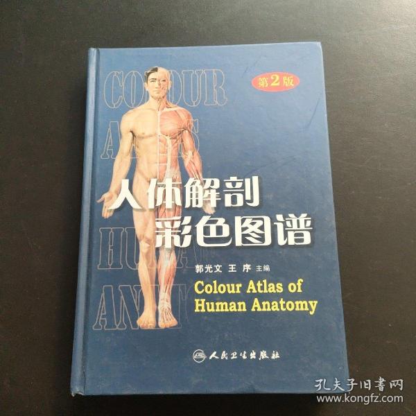 人体解剖彩色图谱