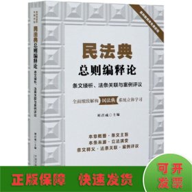 民法典總則編釋論 條文縷析、法條關(guān)聯(lián)與案例評(píng)議