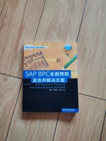 SAP企业信息化与最佳实践丛书：SAP BPC全面预算及合并解决方案