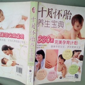 十月怀胎养生宝典