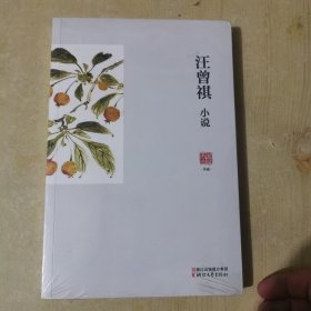 汪曾祺小说/名家小说典藏