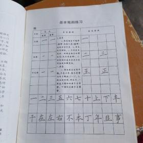 钟健硬笔书法技能训练系列字帖：钢笔楷书