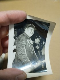 毛主席和林的照片