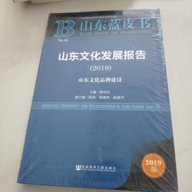 (2019)山东文化发展报告