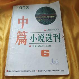 中篇小说选刊1993年 6