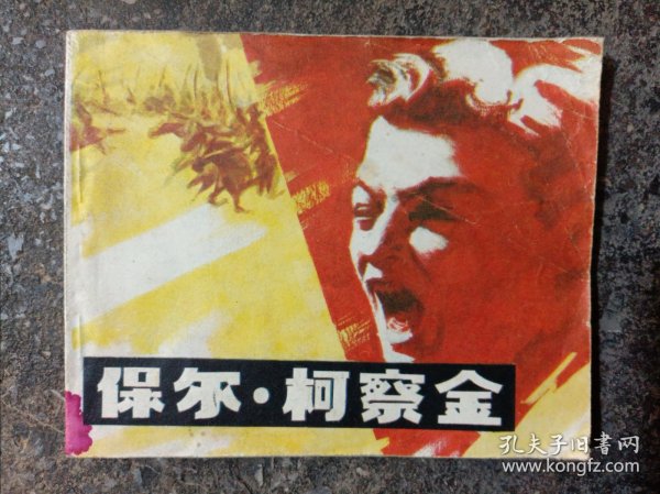 连环画：保尔•柯察金