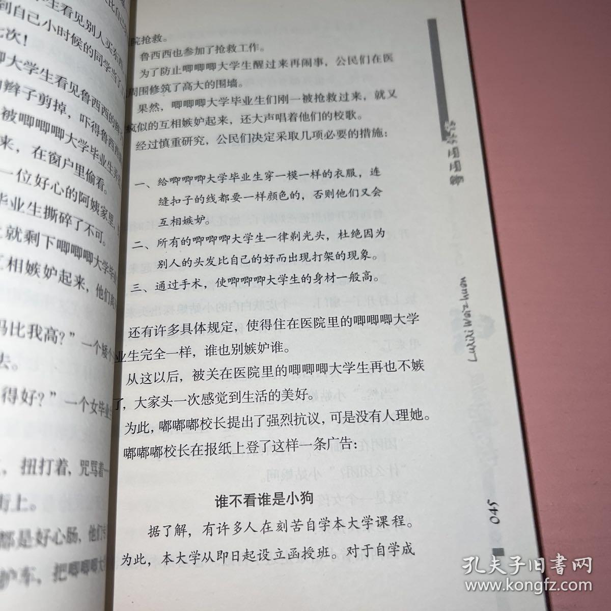 鲁西西外传