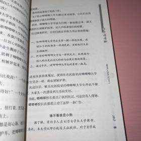 鲁西西外传