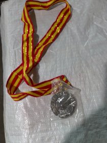 辽宁省盘山县第十二届全民田径运动会奖牌第二名