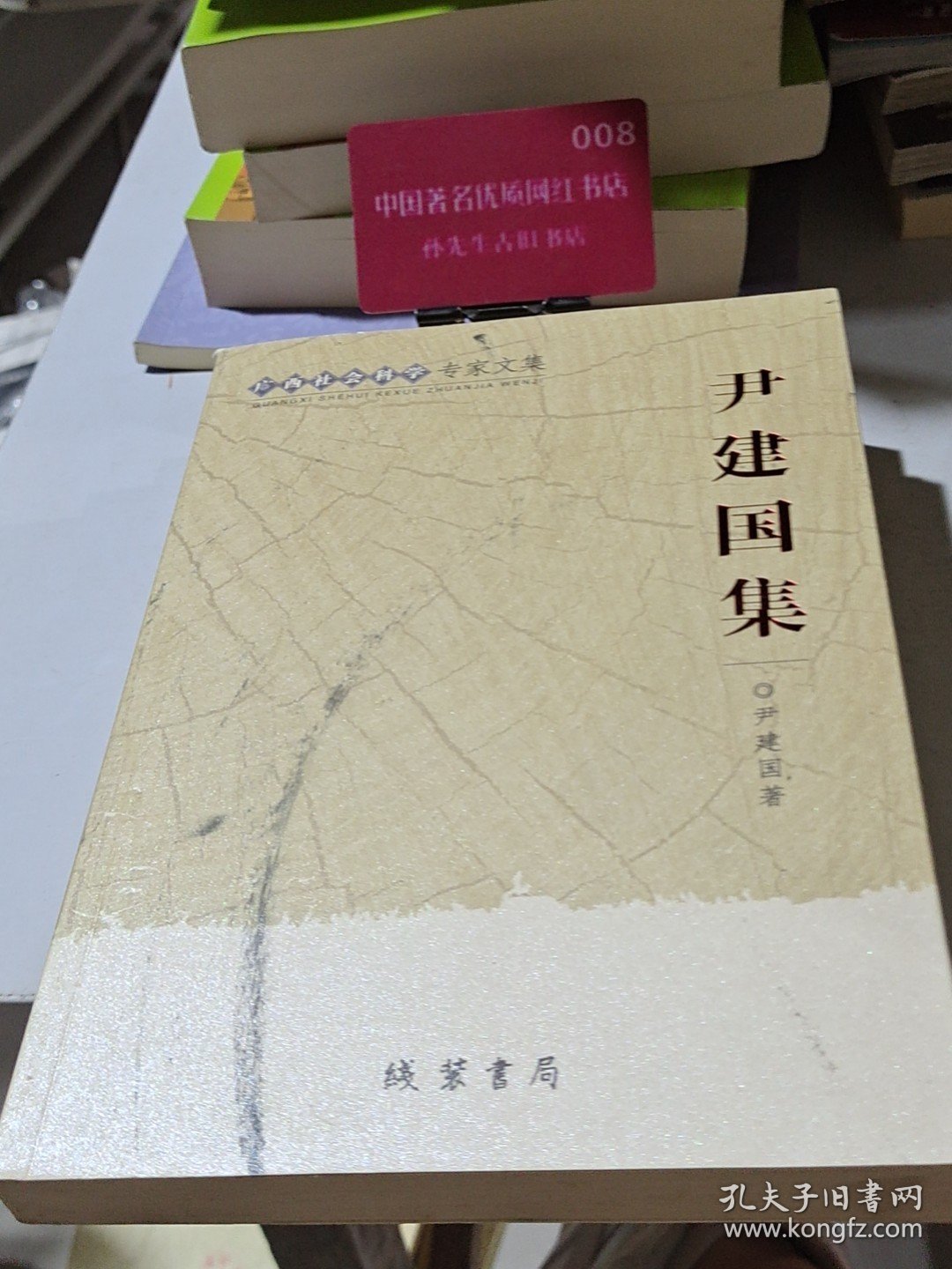 广西社会科学专家文集 : 尹建国集.