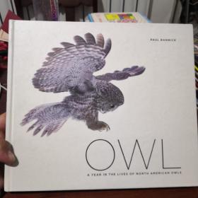 OWL：A year in the lives of North American owls(猫头鹰：北美猫头鹰生活的一年)