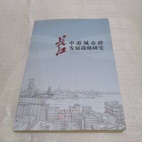 长江中游城市群发展战略研究