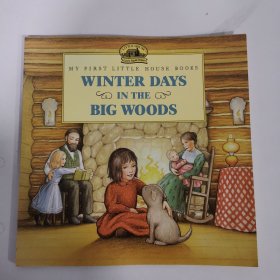 my first little house books winter daysa in the big woods
