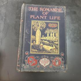 THE ROMANCE OF PLANT LIFE