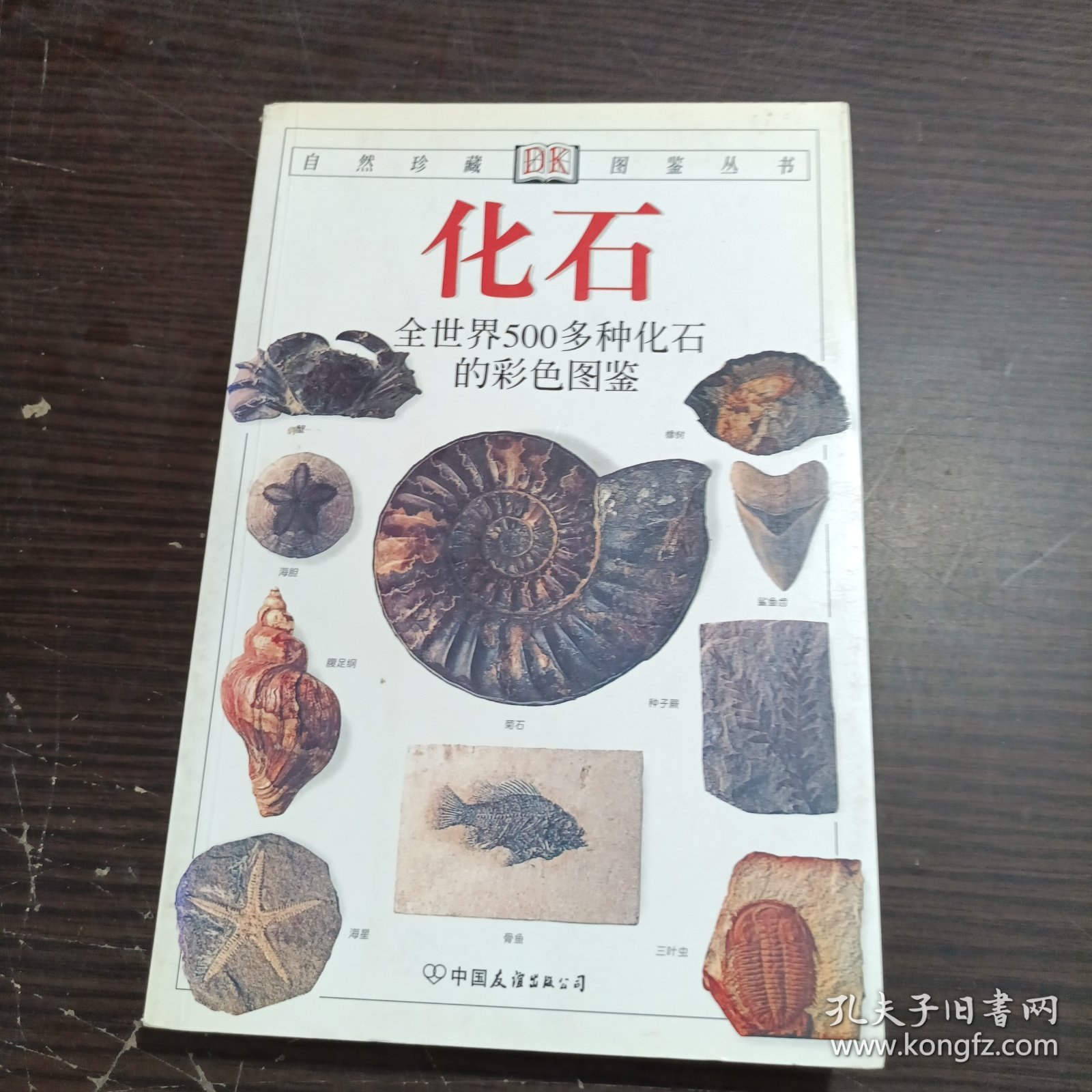 化石：全世界500多种化石的彩色图鉴