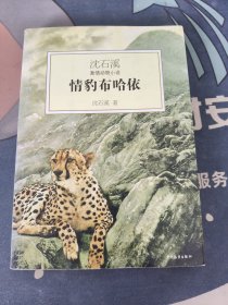 情豹布哈依：沈石溪激情动物小说