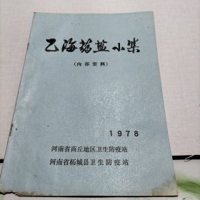 乙海药盐小集