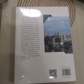 城市流动性与智慧城市空间组织/大数据与智慧城市研究丛书