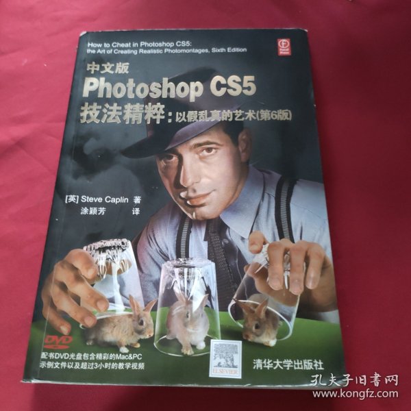 中文版Photoshop CS5技法精粹：以假乱真的艺术（第6版）