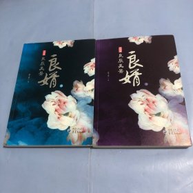 良婿2·良辰美景（上下两册合售）：完結篇（正版实拍）