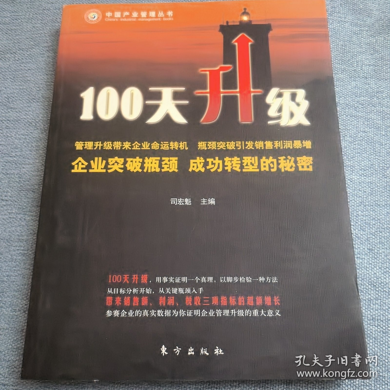 中国产业管理丛书：100天升级
