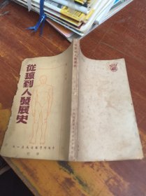 從猿到人發(fā)展史