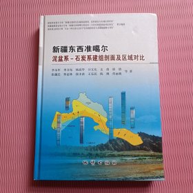 新疆东西准噶尔泥盆系-石炭系建组剖面及区域对比