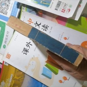 飞相局（象棋布局丛书）品相以图片为准