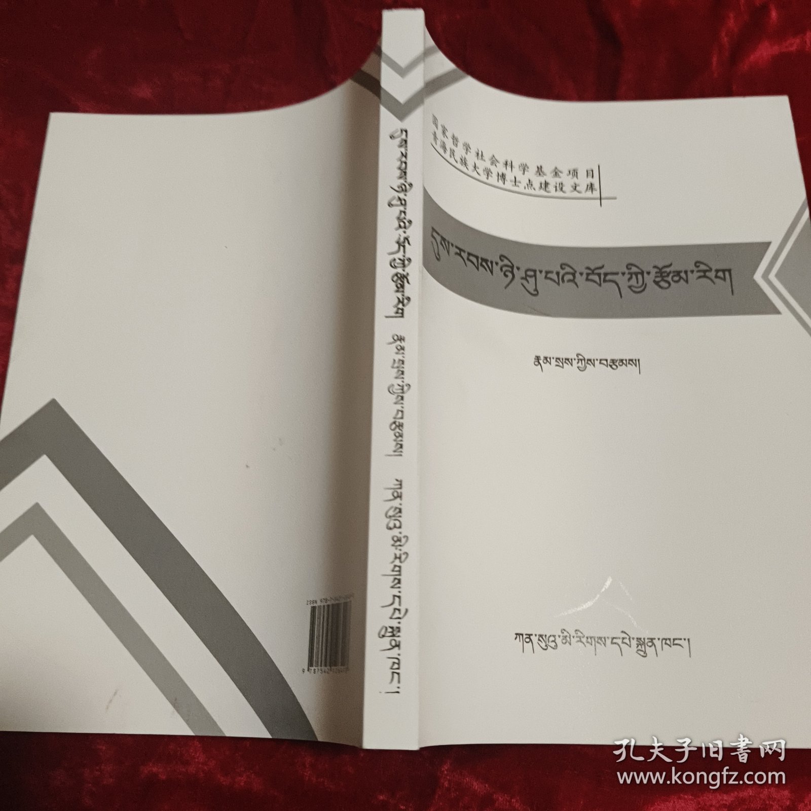 20世纪藏族文学