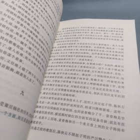 朝内166人文文库·中国当代长篇小说：马上天下
