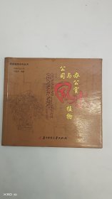 公司与办公室风水植物