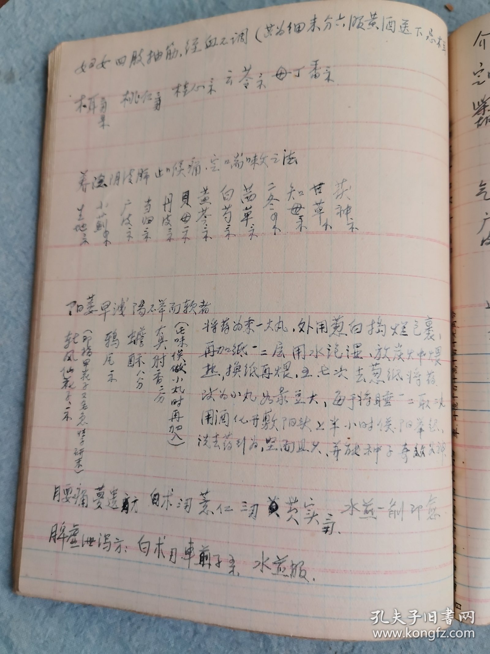 手抄本（中医药方汇总）