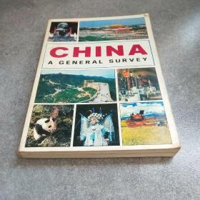 CHINA A GENERAL SURVEY*