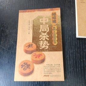 招招狠象棋全攻略破解系列：中局杀势