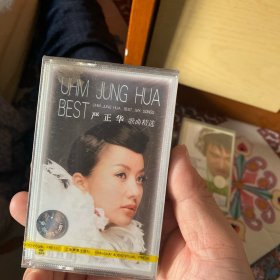 cd 磁带 全新未拆封，品相如图，按图发货，严正华