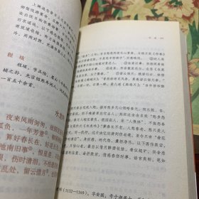 中华传统诗词经典：宋词三百首