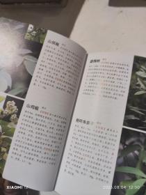 1500种中草药野外识别彩色图鉴