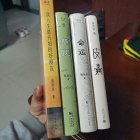 皮囊 命运 草民 我人生最开始的好朋友（蔡崇达作品全四册）
