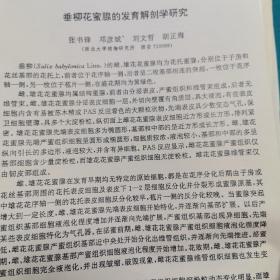 九十年植物形态学学术讨论会交流文章一组